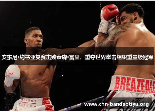 安东尼·约书亚复赛击败泰森·富里,重夺世界拳击组织重量级冠军 安东尼·约书亚复赛击败泰森·富里,重夺世界拳击组织重量级冠军