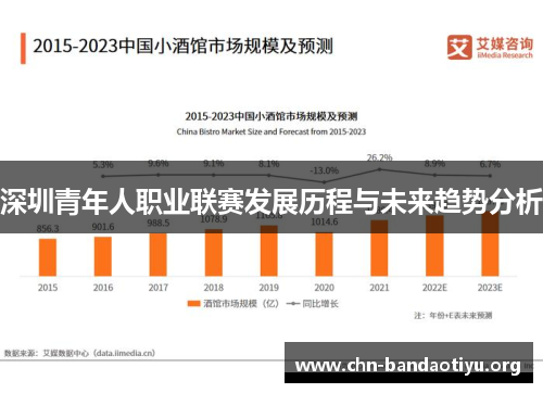 深圳青年人职业联赛发展历程与未来趋势分析 深圳青年人职业联赛发展历程与未来趋势分析