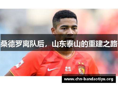 桑德罗离队后,山东泰山的重建之路 桑德罗离队后,山东泰山的重建之路