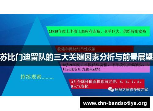 苏比门迪留队的三大关键因素分析与前景展望 苏比门迪留队的三大关键因素分析与前景展望